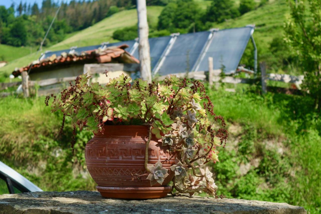 Sosola Baserria Éibar Exteriér fotografie