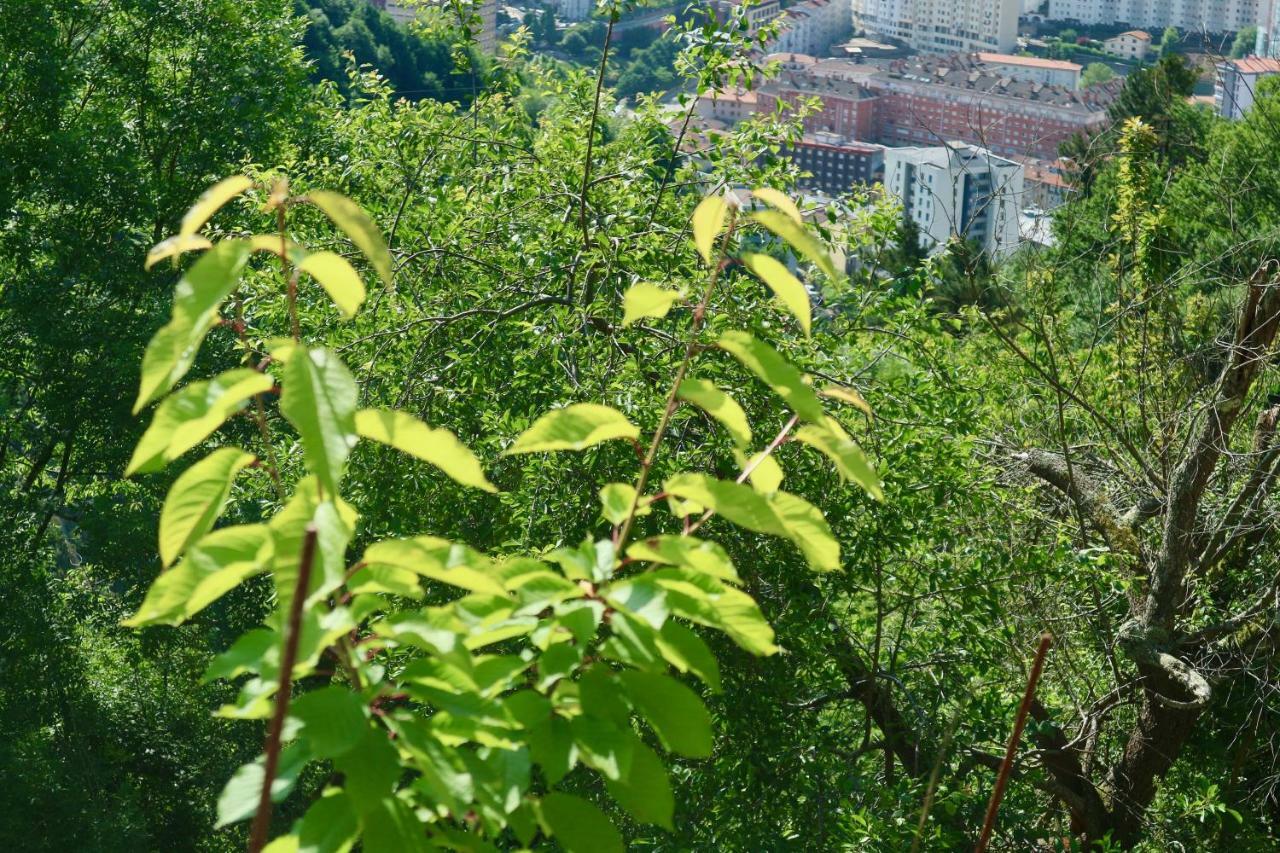 Sosola Baserria Éibar Exteriér fotografie